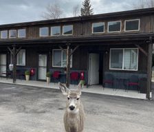 United States Montana Gardiner vacation rental compare prices direct by owner 36264922