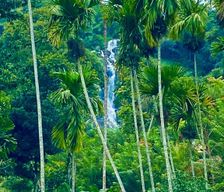 Sri Lanka Badulla District Ella vacation rental compare prices direct by owner 14486209