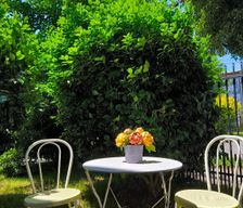 Chile Los Rios Valdivia vacation rental compare prices direct by owner 36293188
