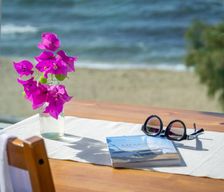 Italy  Torre Ovo vacation rental compare prices direct by owner 28875806