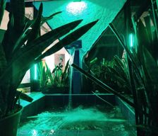 Colombia  Pereira vacation rental compare prices direct by owner 37839423