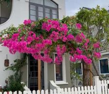 Vietnam Lâm Đồng Province Bình Sum vacation rental compare prices direct by owner 35504814