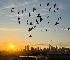 United States New Jersey Union City vacation rental compare prices direct by owner 37785119