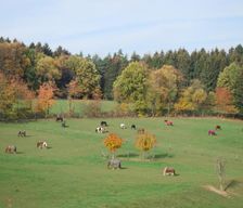 Germany North Rhine-Westphalia Wiehl-Brächen vacation rental compare prices direct by owner 10385673
