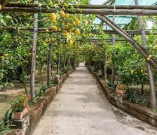 Italy Campania Sorrento vacation rental compare prices direct by owner 27788023