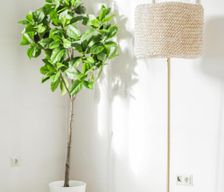 Austria Tyrol Kitzbühel vacation rental compare prices direct by owner 27489848