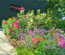 Latvia Vidzeme Riga vacation rental compare prices direct by owner 36718281