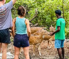 Sri Lanka Hambantota District Tissamaharama vacation rental compare prices direct by owner 18202935