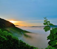 Germany Bavaria Iphofen vacation rental compare prices direct by owner 4979564