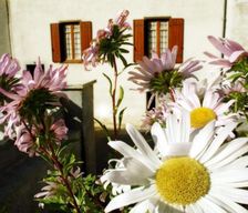France  Lacombe vacation rental compare prices direct by owner 29084724