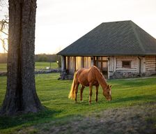 Estonia  Vilina vacation rental compare prices direct by owner 26831418
