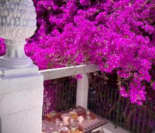 Italy  Massafra vacation rental compare prices direct by owner 6675901