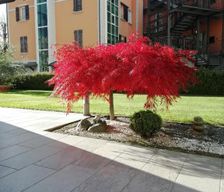 Italy Lombardy Tirano vacation rental compare prices direct by owner 36701041