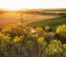 Australia Victoria Rutherglen vacation rental compare prices direct by owner 14023188