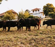 Switzerland Canton of Bern Bolligen vacation rental compare prices direct by owner 36825773