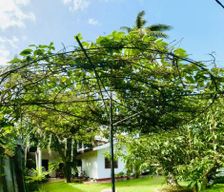 Sri Lanka  Galle vacation rental compare prices direct by owner 19007997