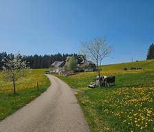 Germany Baden-Württemberg Titisee-Neustadt vacation rental compare prices direct by owner 16010878