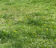 Germany Thuringia Schmölln vacation rental compare prices direct by owner 37681670