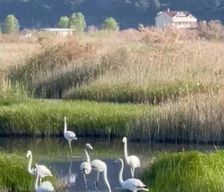 Albania Lezhë County Lezhë vacation rental compare prices direct by owner 37766551