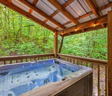 United States Tennessee Townsend vacation rental compare prices direct by owner 38063240
