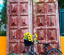 Portugal  Sesimbra vacation rental compare prices direct by owner 37849143