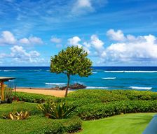 United States  Kapaa vacation rental compare prices direct by owner 26220483
