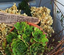 Germany Baden-Württemberg Ingstetten vacation rental compare prices direct by owner 26182771