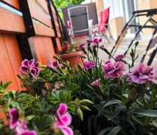 Hungary  Harkány vacation rental compare prices direct by owner 26187802