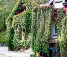 Lithuania Klaipeda county Juodkrantė vacation rental compare prices direct by owner 38464645