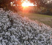 Poland Warmia-Masuria Gawliki Wielkie vacation rental compare prices direct by owner 32780434