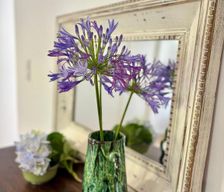 Portugal São Miguel Vila Franca do Campo vacation rental compare prices direct by owner 37858389