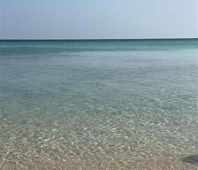 Italy  Brindisi vacation rental compare prices direct by owner 33748511