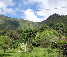 Martinique  Le Morne-Vert vacation rental compare prices direct by owner 33392136