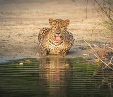 Sri Lanka Hambantota District Tissamaharama vacation rental compare prices direct by owner 15885426