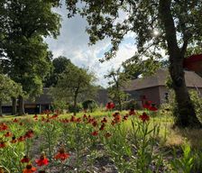 Netherlands Overijssel Balkbrug vacation rental compare prices direct by owner 37702110