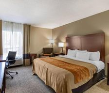 United States Iowa Walcott vacation rental compare prices direct by owner 33253675