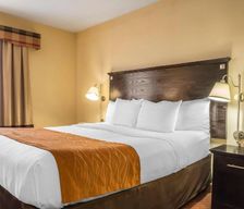 United States New York Queens vacation rental compare prices direct by owner 32243693