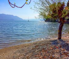 Italy Piedmont Cannobio vacation rental compare prices direct by owner 14330166