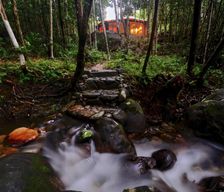 Australia Queensland Cape Tribulation vacation rental compare prices direct by owner 13781555