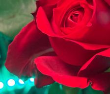 Sweden Stockholm county Järna vacation rental compare prices direct by owner 26106676