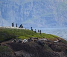 Norway  Gjesvær vacation rental compare prices direct by owner 12795068