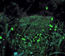 Taiwan Miaoli County Tai'an vacation rental compare prices direct by owner 14199076