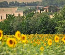 Italy Pisa Montecatini Val di Cecina vacation rental compare prices direct by owner 6725421