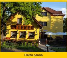 Hungary Pest Dobogoko vacation rental compare prices direct by owner 13753816