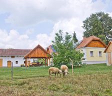 Hungary  Kercaszomor vacation rental compare prices direct by owner 18878017