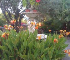 Italy  Joppolo vacation rental compare prices direct by owner 13758708
