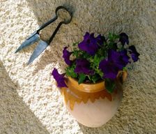 France  Castetnau-Camblong vacation rental compare prices direct by owner 35968231
