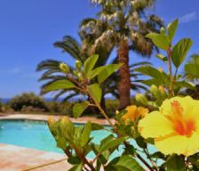 France Provence-Alpes-Côte d'Azur La Cadière-dʼAzur vacation rental compare prices direct by owner 14915327