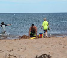 Canada Prince Edward Island Murray Harbour vacation rental compare prices direct by owner 12873128