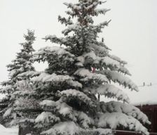 United States Idaho Driggs vacation rental compare prices direct by owner 12751331